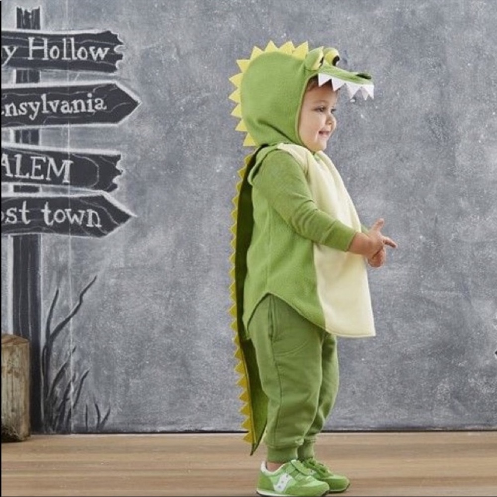Pottery barn alligator costume size 4-6